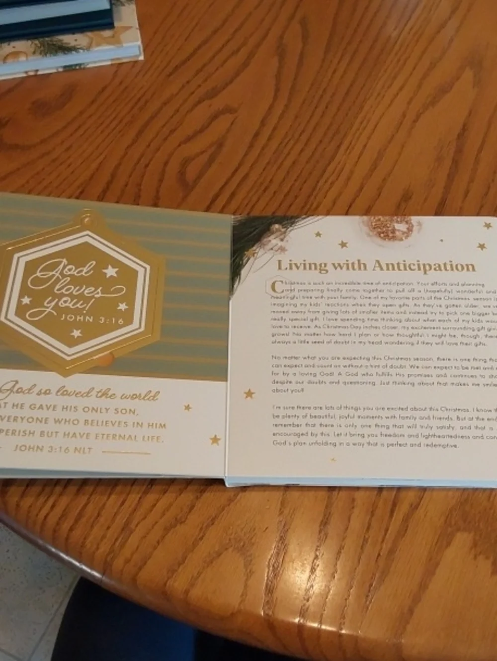 DaySpring 'Bring on the Merry' Ornament Book - White & Gold